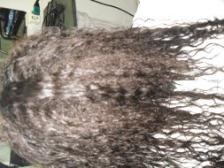 antes